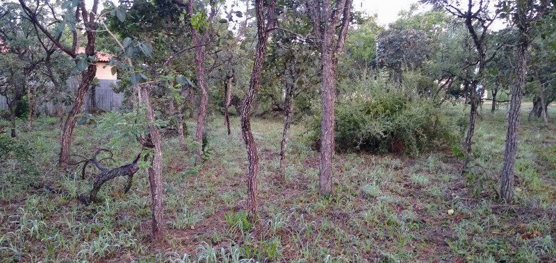 Terreno à venda Setor Habitacional Tororó (Santa Maria) com 873m² e 1 quarto por R$ 260.000 - 491984917-img-20230409-064343269.jpg