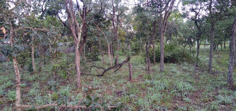 Terreno à venda Setor Habitacional Tororó (Santa Maria) com 873m² e 1 quarto por R$ 260.000 - 833163696-img-20230409-064354114.jpg