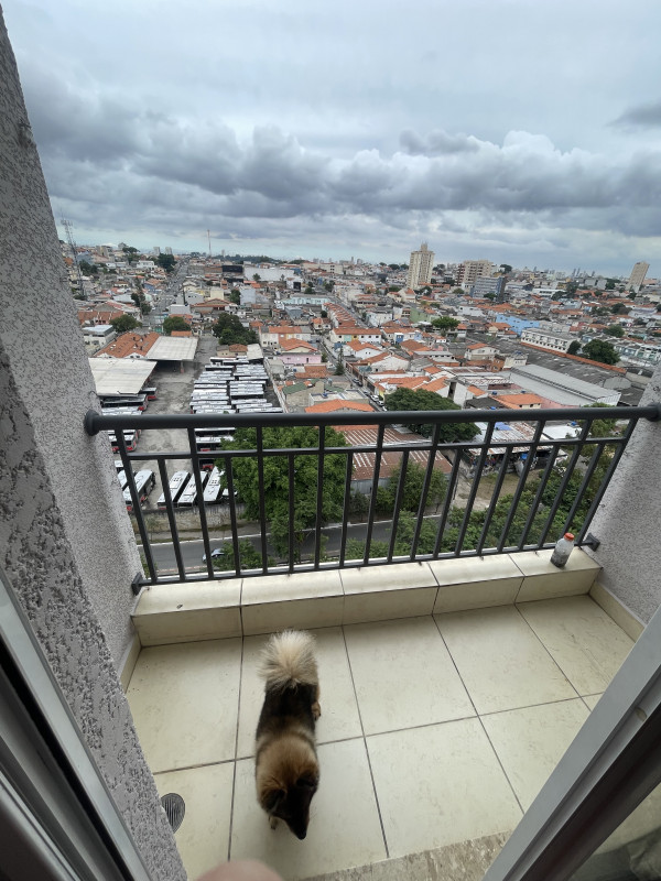 Apartamento à venda Vila Talarico com 65m² e 3 quartos por R$ 450.000 - 2080316065-img-1761.jpeg