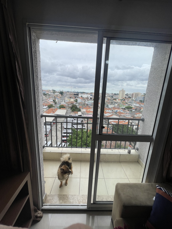 Apartamento à venda Vila Talarico com 65m² e 3 quartos por R$ 450.000 - 611656033-img-1760.jpeg