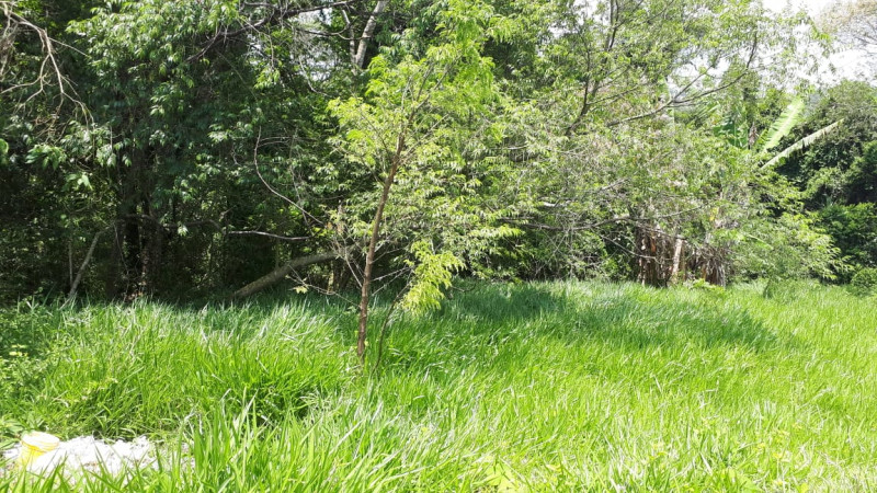 Terreno à venda Paisagem Casa Grande com 4601m² e 1 quarto por R$ 700.000 - 1091316379-fcdb047a-2ab7-4779-a8b0-a86febc99c95.jpg