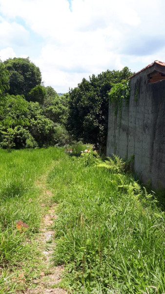 Terreno à venda Paisagem Casa Grande com 4601m² e 1 quarto por R$ 700.000 - 1827828001-f3788024-b25c-4a93-a0ba-dacbef18fa1f.jpg