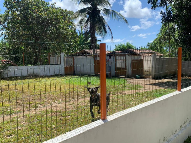 Chácara à venda Guabiraba com 312m² e 3 quartos por R$ 1.000.000 - 690967218-img-20220816-wa00461.jpg