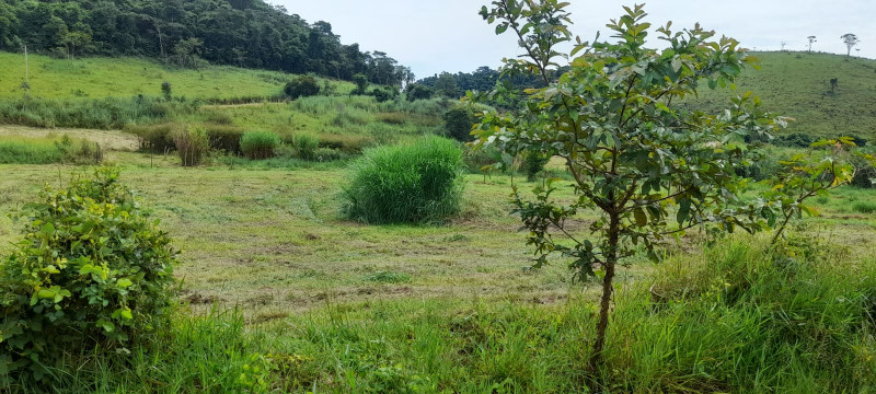 Terreno à venda Cotiara com 1020m² e 1 quarto por R$ 180.000 - 229688043-01c40239-8936-49fe-89c1-6d8c2d5c8953.jpeg
