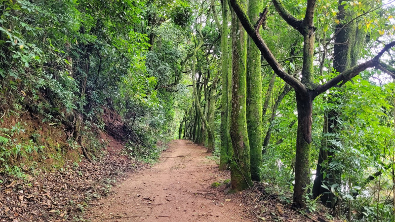 Casa de condomínio à venda Jardim Primavera com 325m² e 4 quartos por R$ 1.850.000 - 809798411-20230121-104646.jpg