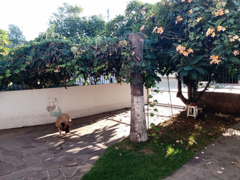 Casa à venda Sumaré com 195m² e 5 quartos por R$ 50.000.000 - 1580979967-img-20230329-080409959.jpg