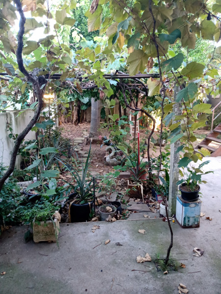 Casa à venda Sumaré com 195m² e 5 quartos por R$ 50.000.000 - 605677428-img-20230329-075622960.jpg