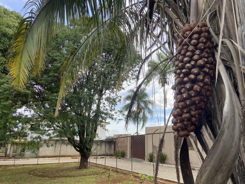 Casa de condomínio à venda Guará II com 390m² e 10 quartos por R$ 1.890.000 - 338098717-6cc25892-47cb-4a88-80d7-fc172dce02b5.jpeg