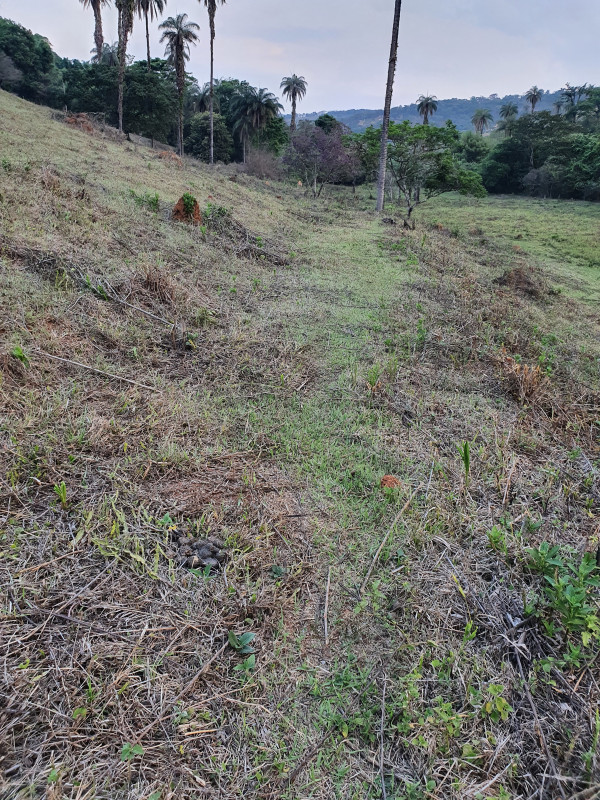 Terreno à venda Centro com 51280m² e 1 quarto por R$ 1.550.000 - 1263045483-20201004-172028.jpg