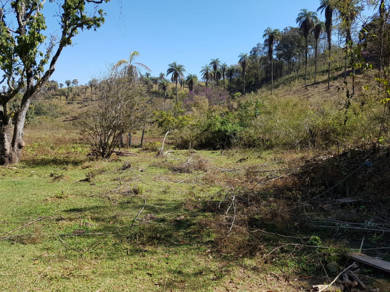 Terreno à venda Centro com 51280m² e 1 quarto por R$ 1.550.000 - 1329867607-img-20201003-wa0064.jpg
