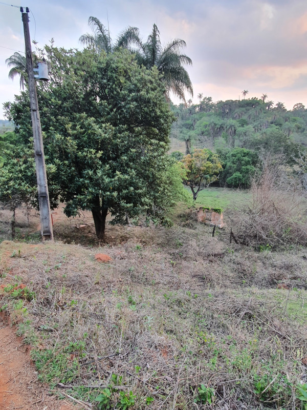 Terreno à venda Centro com 51280m² e 1 quarto por R$ 1.550.000 - 1683998426-20201004-172918.jpg