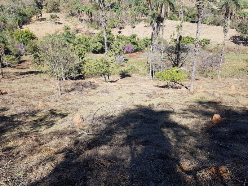 Terreno à venda Centro com 51280m² e 1 quarto por R$ 1.550.000 - 1757066356-img-20201003-wa0069.jpg