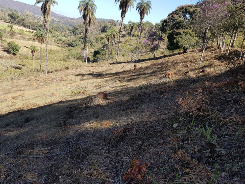 Terreno à venda Centro com 51280m² e 1 quarto por R$ 1.550.000 - 1820378418-img-20201003-wa0075.jpg