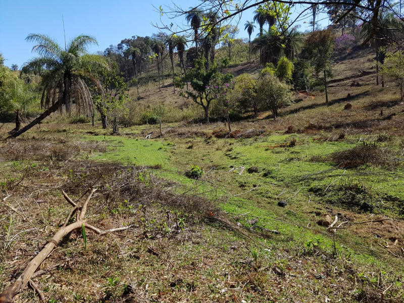 Terreno à venda Centro com 51280m² e 1 quarto por R$ 1.550.000 - 2081428582-img-20201003-wa0079.jpg