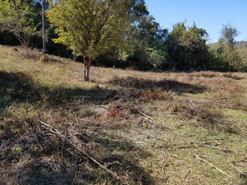 Terreno à venda Centro com 51280m² e 1 quarto por R$ 1.550.000 - 440695987-img-20201003-wa0070.jpg