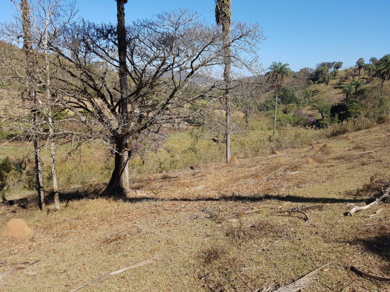 Terreno à venda Centro com 51280m² e 1 quarto por R$ 1.550.000 - 492869186-img-20201003-wa0080.jpg