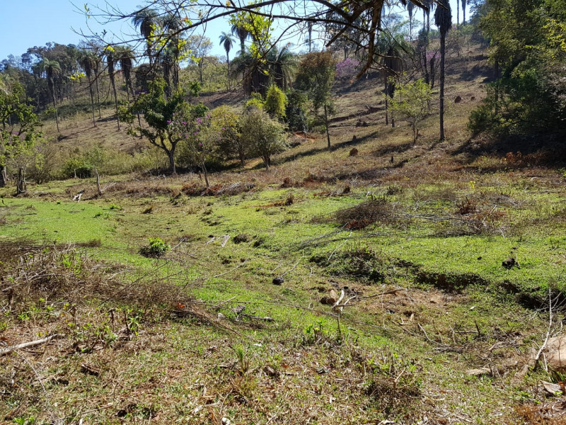 Terreno à venda Centro com 51280m² e 1 quarto por R$ 1.550.000 - 502986590-img-20201003-wa0071.jpg