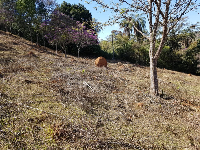 Terreno à venda Centro com 51280m² e 1 quarto por R$ 1.550.000 - 576515619-img-20201003-wa0054.jpg