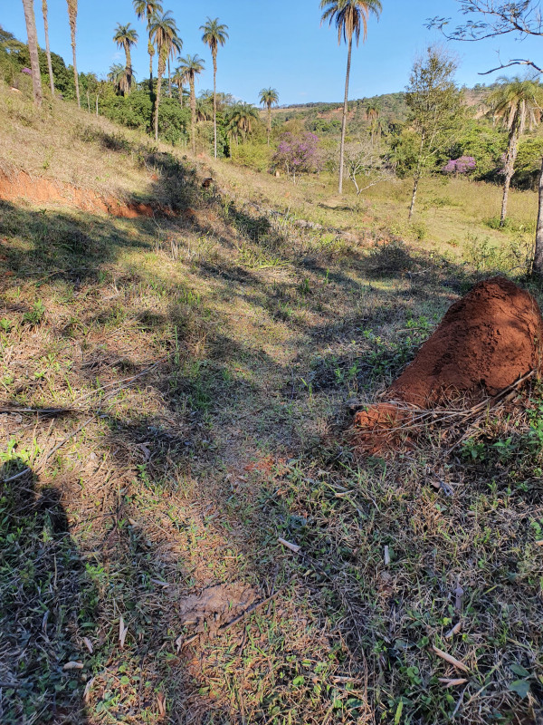 Terreno à venda Centro com 51280m² e 1 quarto por R$ 1.550.000 - 600687349-20200828-153343.jpg