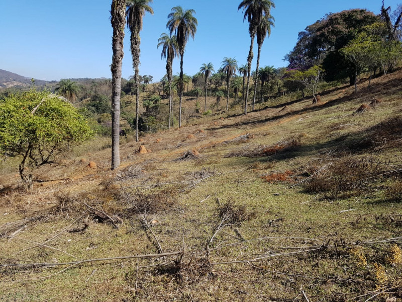 Terreno à venda Centro com 51280m² e 1 quarto por R$ 1.550.000 - 923584052-img-20201003-wa0053.jpg