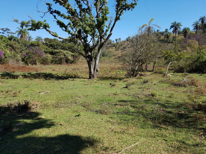 Terreno à venda Centro com 51280m² e 1 quarto por R$ 1.550.000 - 944218118-img-20201003-wa0061.jpg