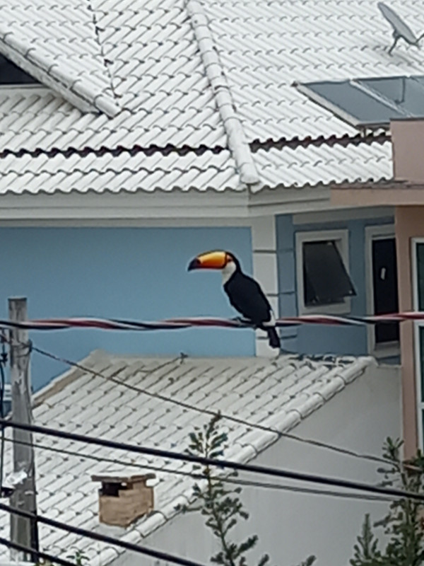 Casa de condomínio à venda Jacarepaguá com 200m² e 3 quartos por R$ 390.000 - 1945376785-20230402-135233.jpg