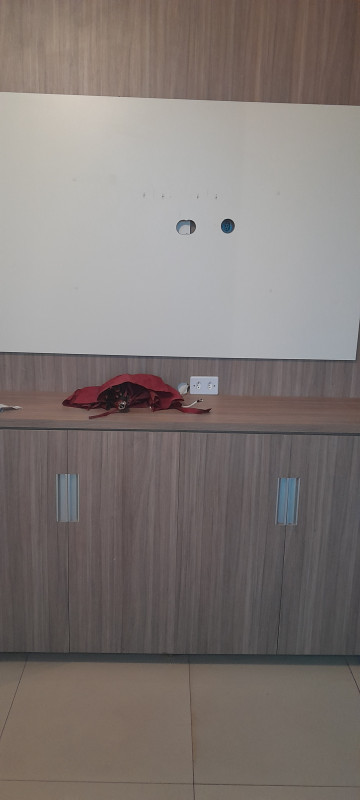 Apartamento à venda Colônia Agrícola Samambaia com 69m² e 2 quartos por R$ 240.000 - 1878734972-20221022-150501-copia.jpg