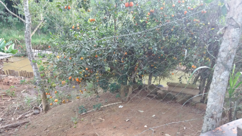 Chácara à venda Centro com 120m² e 3 quartos por R$ 310 - 611523234-20200517-171436.jpg