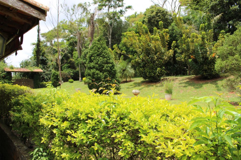 Chácara à venda Sorocabucu com 11000m² e 3 quartos por R$ 800.000 - 143437296-ee1bd9f2-06e1-4eb6-ae34-372ae1f7cc3e.jpg