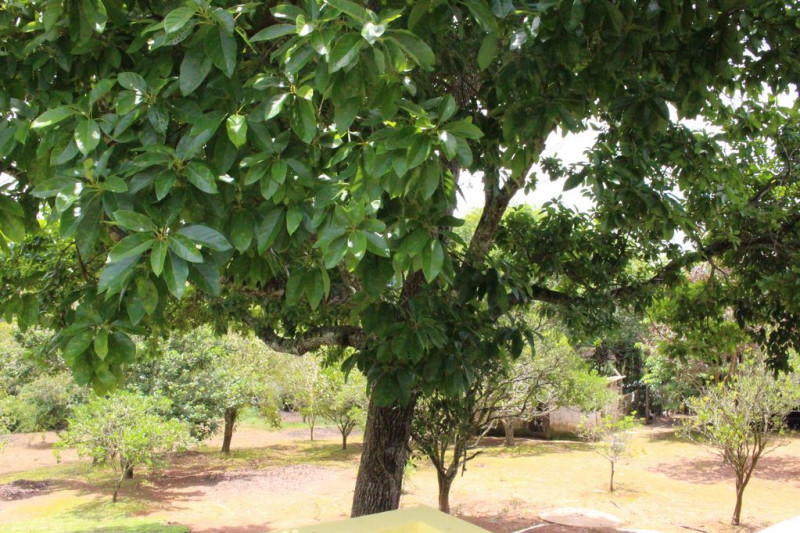 Chácara à venda Sorocabucu com 11000m² e 3 quartos por R$ 800.000 - 1680018844-8df4d04f-290e-4258-9fd5-53f276507306.jpg