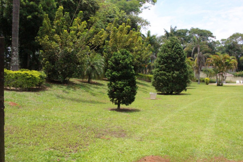 Chácara à venda Sorocabucu com 11000m² e 3 quartos por R$ 800.000 - 1816274799-e544c317-46fc-46d6-ba22-32340ec729d4.jpg