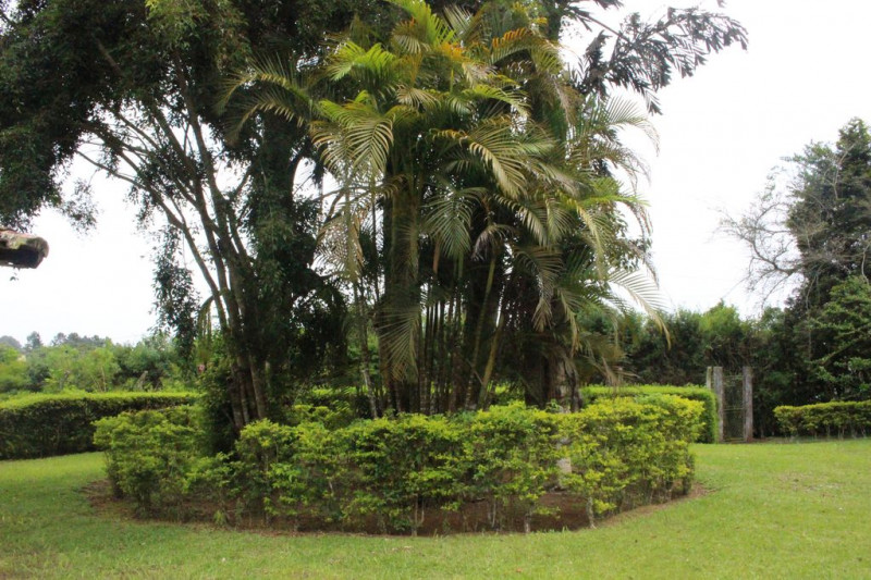 Chácara à venda Sorocabucu com 11000m² e 3 quartos por R$ 800.000 - 1982464448-993769c0-0a45-4e12-a1a2-736d7ec244ff.jpg