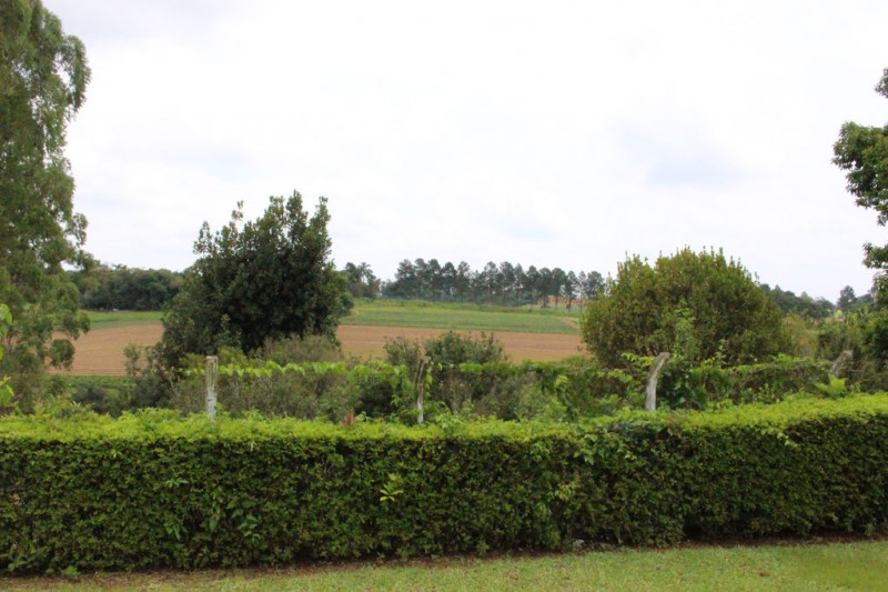 Chácara à venda Sorocabucu com 11000m² e 3 quartos por R$ 800.000 - 46809469-4f48d2fc-6ddb-44b4-ad31-8ed3d97c8353.jpg