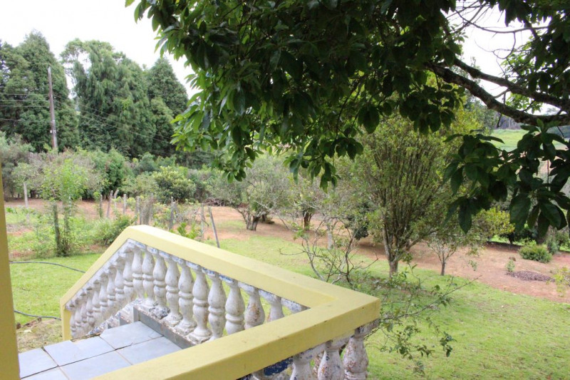 Chácara à venda Sorocabucu com 11000m² e 3 quartos por R$ 800.000 - 530910646-46bc2b48-360f-4b4e-9064-5983936a4466.jpg