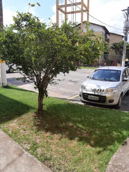 Apartamento à venda Campo Grande com 45m² e 2 quartos por R$ 120.000 - 2130989287-img-20221115-wa00201.jpg