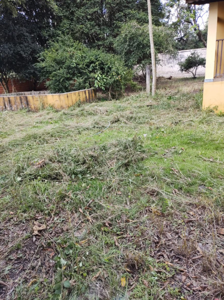 Chácara à venda Vila Americana com 1416m² e 4 quartos por R$ 180.000 - 245050824-tatui-6.jpeg