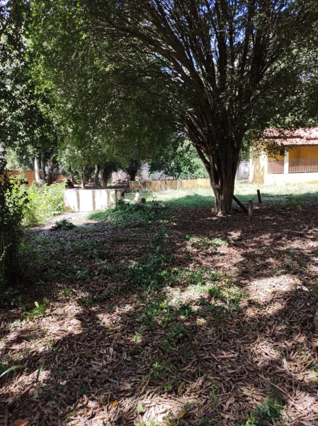 Chácara à venda Vila Americana com 1416m² e 4 quartos por R$ 180.000 - 561233050-tatui-4.jpeg