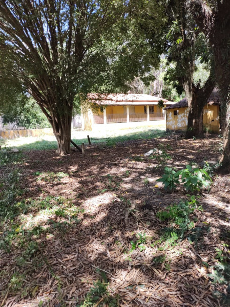 Chácara à venda Vila Americana com 1416m² e 4 quartos por R$ 180.000 - 610532903-tatui-3.jpeg
