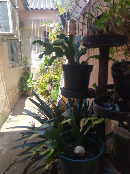 Casa à venda Centro com 169m² e 3 quartos por R$ 450.000 - 184517328-img-20230213-wa0015.jpg