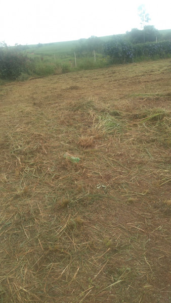 Terreno à venda Centro com 1300m² e 1 quarto por R$ 110.000 - 1255812337-img-20230412-wa0005.jpg