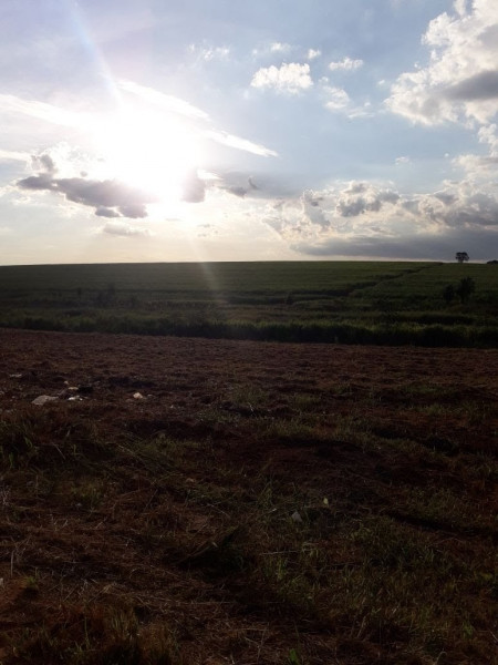 Terreno à venda Centro com 1300m² e 1 quarto por R$ 110.000 - 1335427965-img-20180223-wa0059.jpg