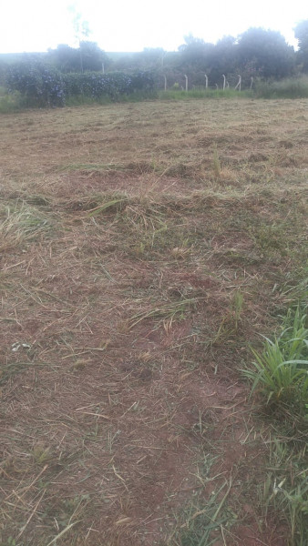 Terreno à venda Centro com 1300m² e 1 quarto por R$ 110.000 - 1355201267-img-20230412-wa0003.jpg