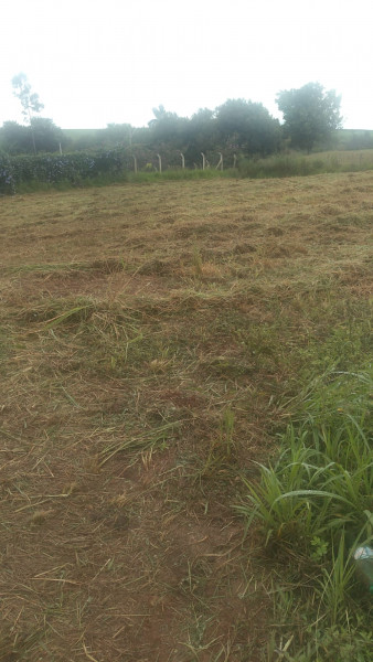 Terreno à venda Centro com 1300m² e 1 quarto por R$ 110.000 - 2139703129-img-20230412-wa0004.jpg