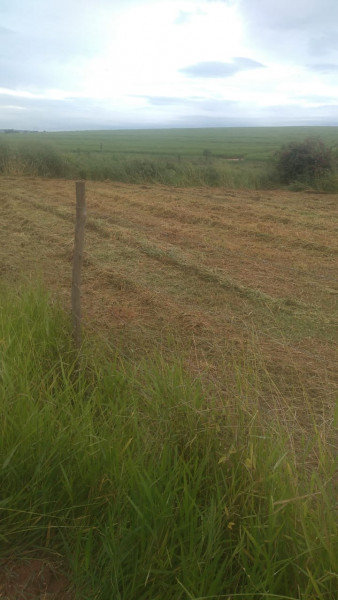Terreno à venda Centro com 1300m² e 1 quarto por R$ 110.000 - 754997908-img-20230412-wa0002.jpg