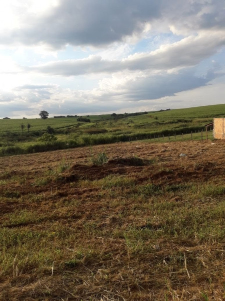 Terreno à venda Centro com 1300m² e 1 quarto por R$ 110.000 - 956811834-img-20180223-wa0060.jpg