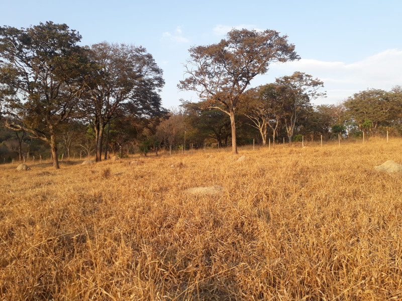 Terreno à venda Centro com 20000m² e 1 quarto por R$ 240.000 - 1418517214-whatsapp-image-2023-04-13-at-10.jpeg