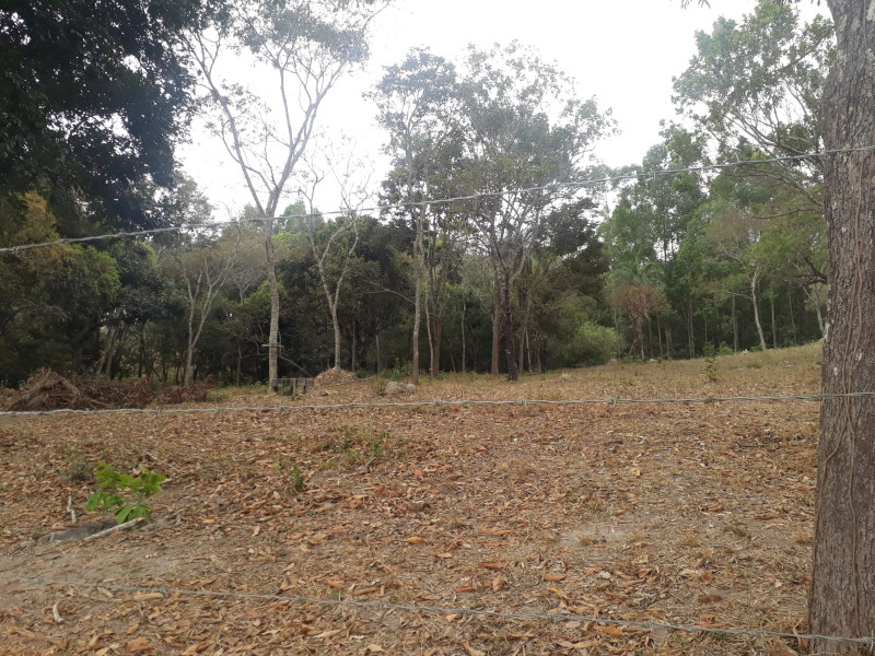 Terreno à venda Centro com 20000m² e 1 quarto por R$ 240.000 - 1855349135-whatsapp-image-2023-04-13-at-10.jpeg