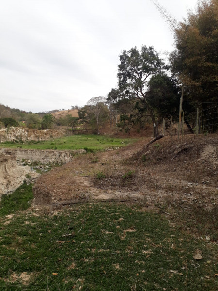 Terreno à venda Centro com 20000m² e 1 quarto por R$ 240.000 - 2021238112-whatsapp-image-2023-04-13-at-10.jpeg