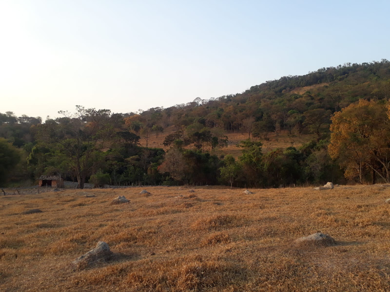 Terreno à venda Centro com 20000m² e 1 quarto por R$ 240.000 - 2115479921-whatsapp-image-2023-04-13-at-10.jpeg