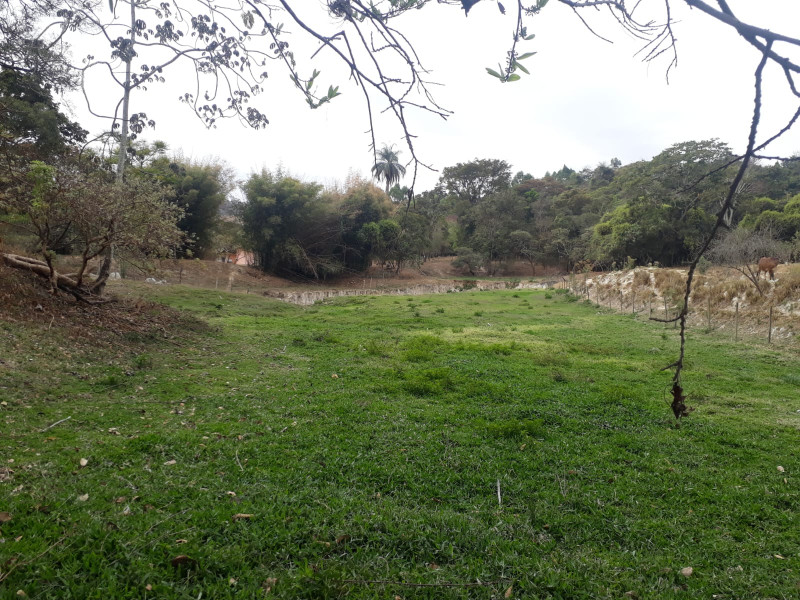 Terreno à venda Centro com 20000m² e 1 quarto por R$ 240.000 - 719271872-whatsapp-image-2023-04-13-at-10.jpeg